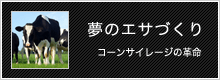 ���̉a�Â��育�Љ�@�R�[���T�C���[�W�̊v��