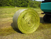 It is a high-density bale with the down cut system of 76 mm of theoretical cutting length