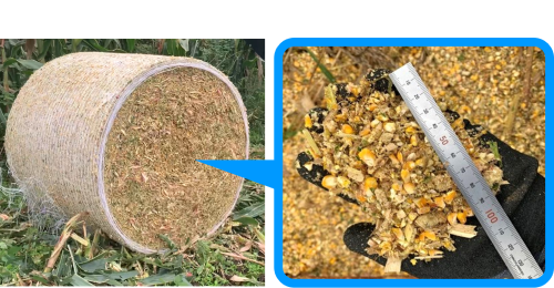 理論切断長
